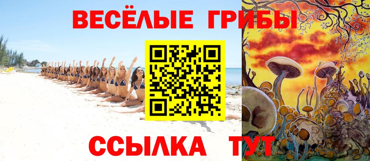 Галлюциногенные грибы Psilocybine cubensis Нижнеудинск