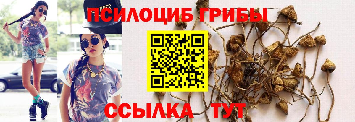 Псилоцибиновые грибы Magic Shrooms  Вход с VPN  Псилоцибиновые грибы Psilocybe  Нижнеудинск 